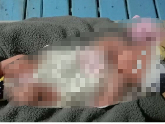 Penemuan bayi perempuan di Kecamatan Sindang Kabupaten Indramayu 