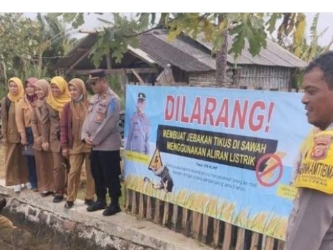 Polisi larang petani di Indramayu pakai jebakan tikus berlistrik