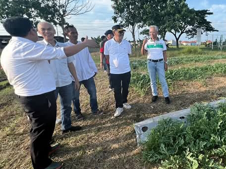 Wakil Bupati Indramayu Syaefudin mendampingi Kepala Badan Pangan Nasional (Bapanas) Arief Prasetyo Hadi ke Kecamatan Juntinyuat