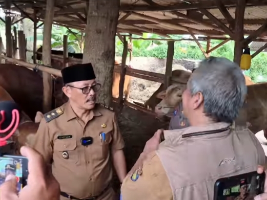 Wakil Bupati Indramayu Syaefudin cek kesehatan dan ketersediaan hewan qurban