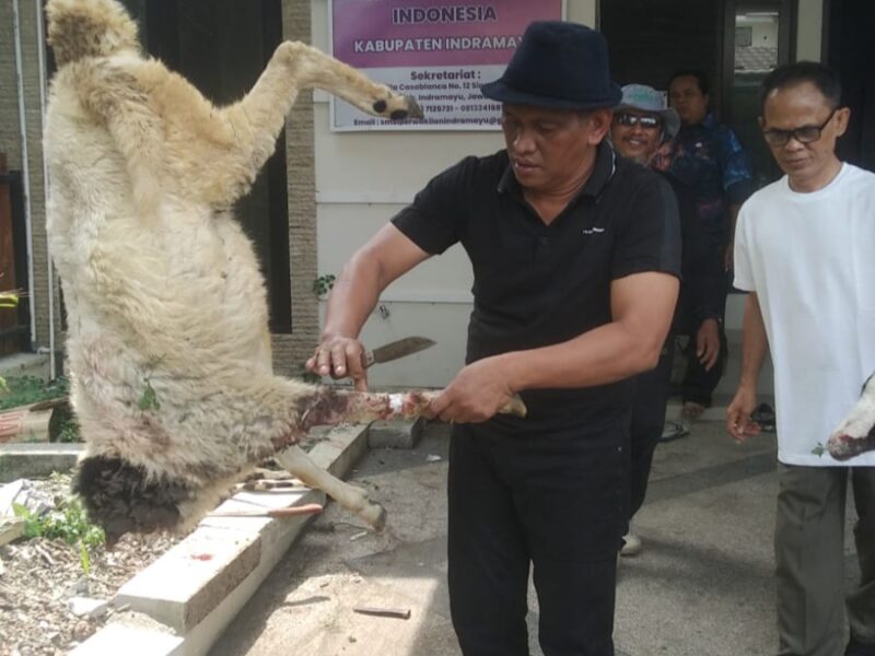 Pengurus SMSI Indramayu berkurban 