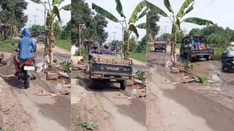 Tangkapan layar akun Facebook Karyanto : Jalan ditanami pohon pisang di Jalan PU Gadingan-Sudikampiran Sliyeg Kabupaten Indramayu 