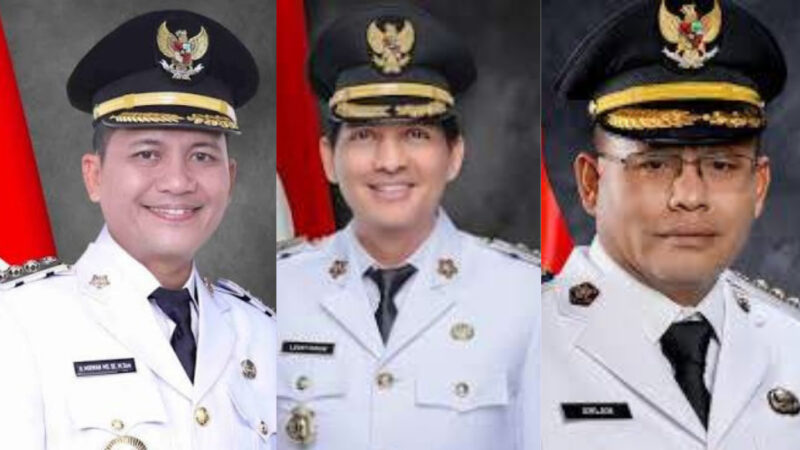 Kolase foto : Bupati Aceh Selatan Mirwan MS, Bupati Indramayu Lucky Hakim, dan Wali Kota Prabumulih Arlan