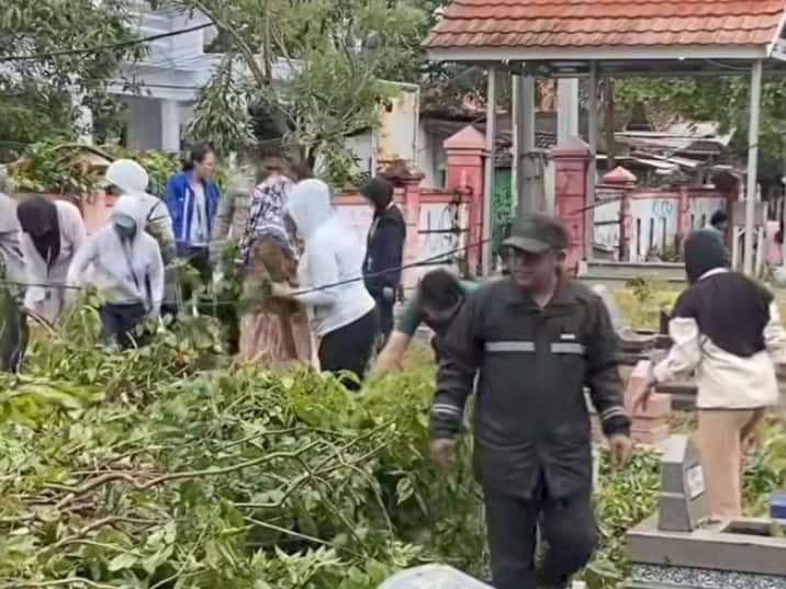 Pohon besar tumbang di Tempat Pemakaman Umum (TPU) Menjangan Bang, Kelurahan Paoman, Kecamatan Indramayu, Minggu (19/1/2026)