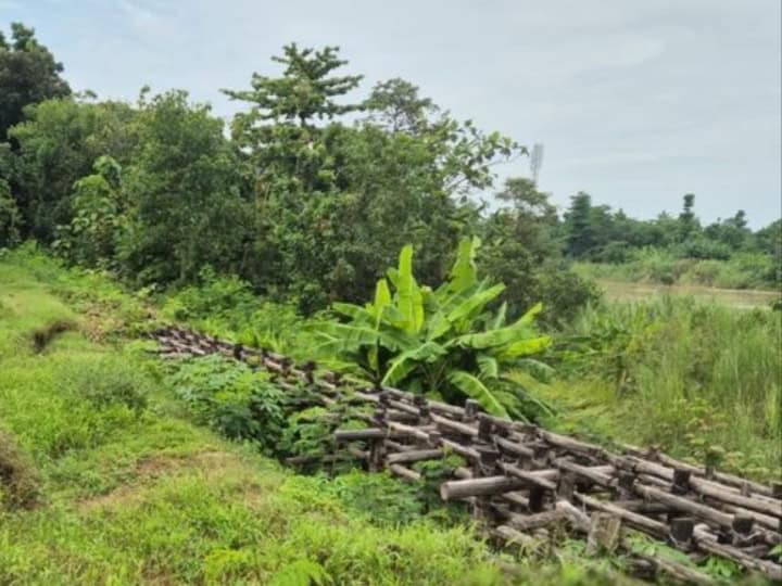 Salah satu tanggul sungai di Indramayu 