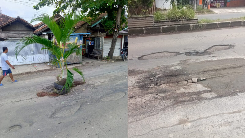 Kolase : Jalan IR H Juanda yang rusak ditanami pohon palem oleh warga(kiri). Usai menuai sorotan publik, Pemkab akhirnya melakukan perbaikan darurat dengan metode tambal sulam semen dan batu (kanan).