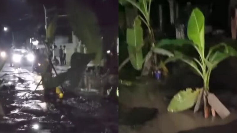 Warga tanami pohon pisang di jalan rusak di Jalan Terusan Kecamatan Sindang Kabupaten Indramayu